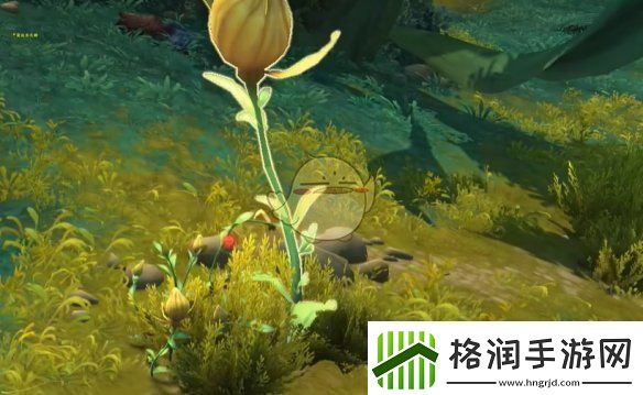 魔兽世界调味生活任务怎么做