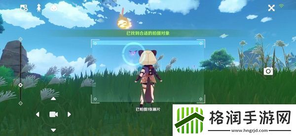 原神稻妻特色动物在哪里