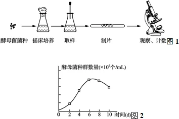 伽罗躺床被C出乳白液体