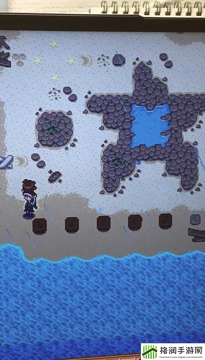 星露谷物语中获取虚空蛋的方法大揭秘