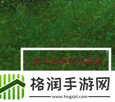 魔兽世界远古驯龙秘典获取方法