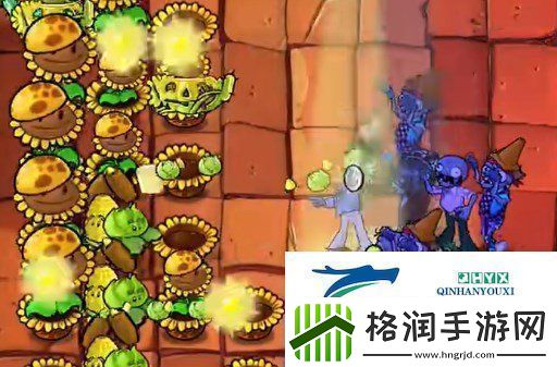 植物大战僵尸杂交版挑战模式第八关如何闯关挑战模式8过关攻略