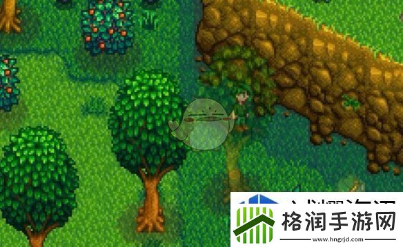 抓住机会的技巧