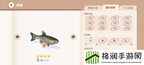 心动小镇钓鱼图鉴有哪些