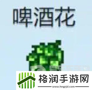 星露谷物语什么酒最赚钱