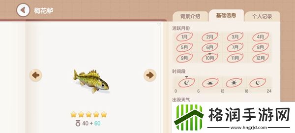 心动小镇钓鱼图鉴有哪些