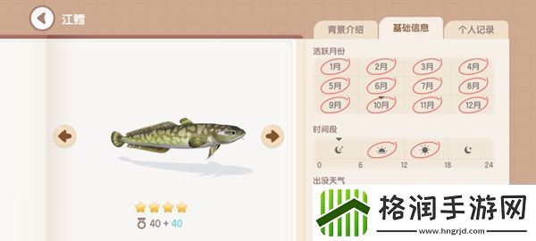 心动小镇钓鱼图鉴有哪些