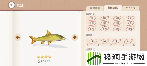 心动小镇钓鱼图鉴有哪些