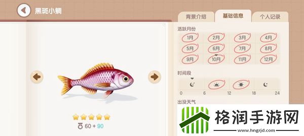 心动小镇钓鱼图鉴有哪些