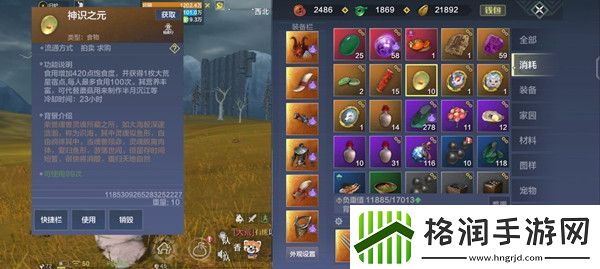 妄想山海神识之元怎么获得