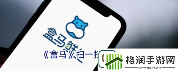 盒马鲜生app如何扫码查询订单盒马扫一扫功能位置