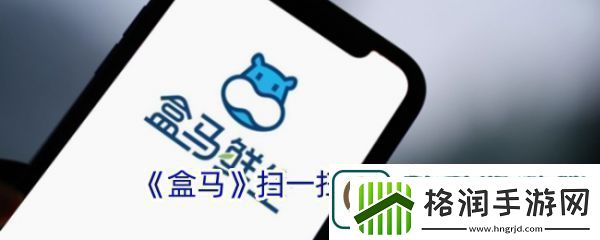 盒马鲜生app如何扫码查询订单盒马扫一扫功能位置