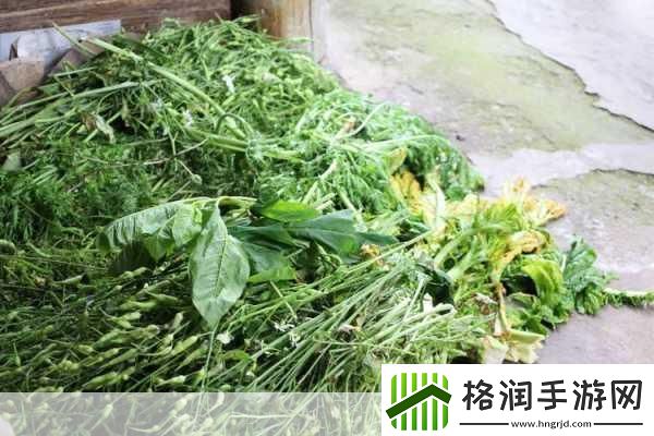 人马畜禽CORPORATION免费