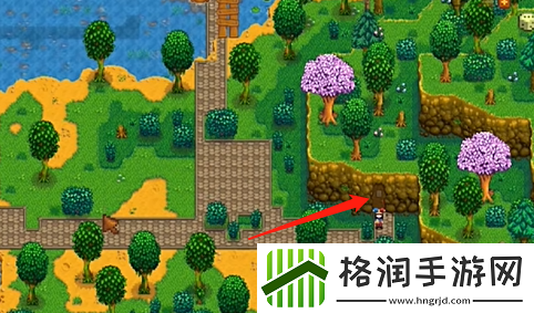 星露谷物语饰品玩法攻略