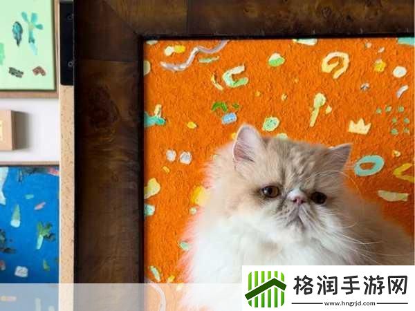 适合二人看的小电影南瓜视觉感超强