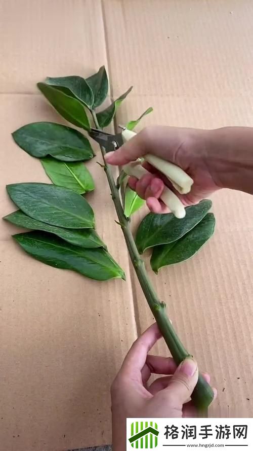 揭晓“坐着扦**b有什么好处”