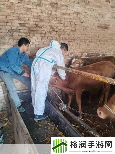 人与畜禽人与畜禽的和谐共生关系探讨