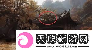 黑神话悟空毒敌大王在哪里