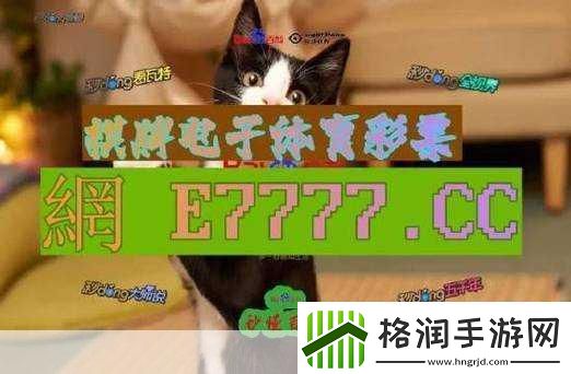 成品网站1688免费