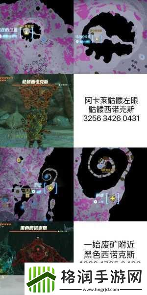 塞尔达传说王国之泪