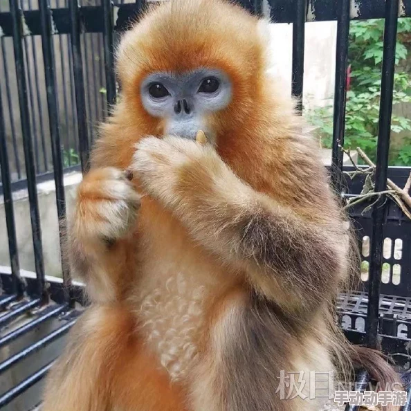 和闺蜜香蕉在ktv被友纷纷表示这样的经历让人哭笑不得娱乐圈的趣事总是层出不穷