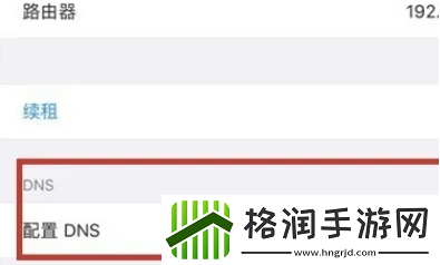 苹果手机dns怎么设置