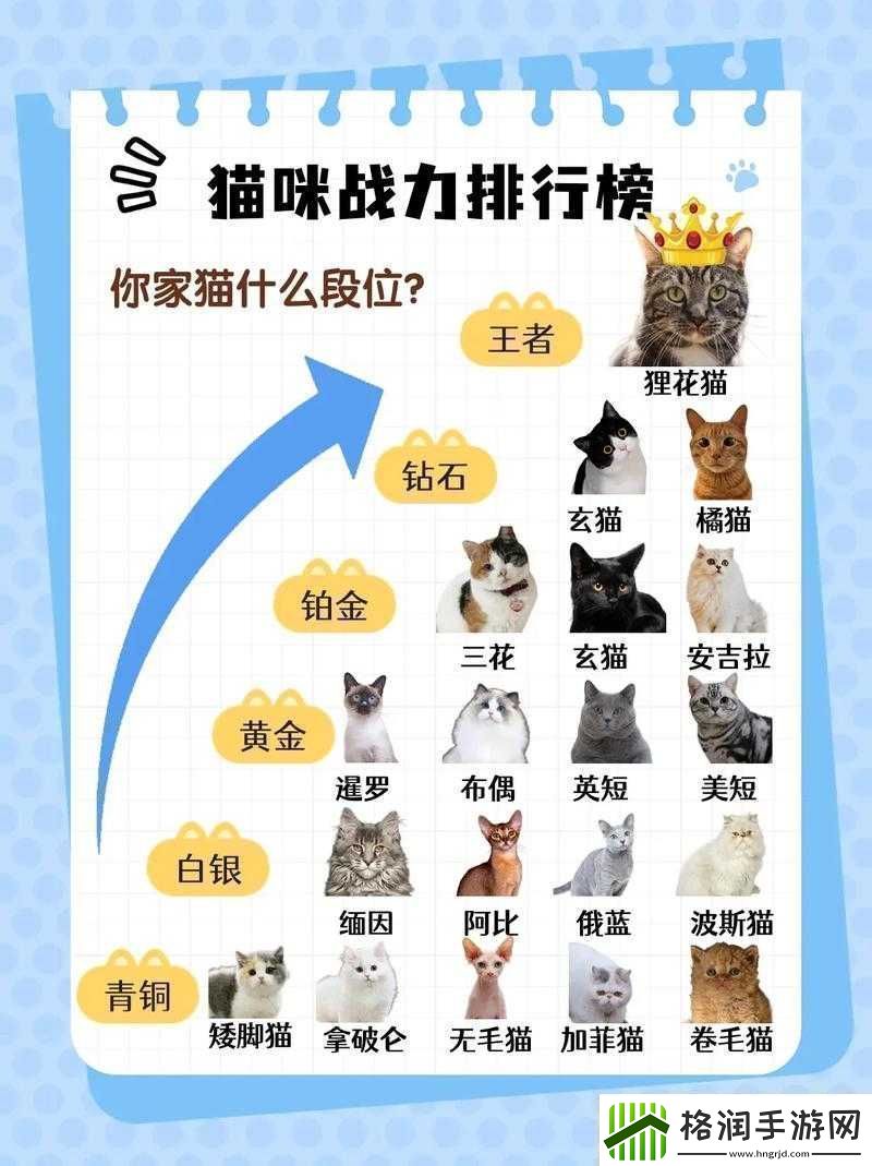 星战少女战力飙升指南