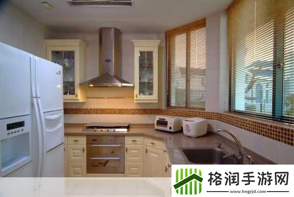 厨房里的激战2类型