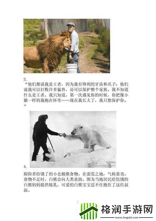 人与动物交互的奇妙故事