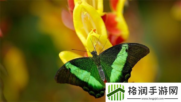 我在无限游戏里挨扌通关