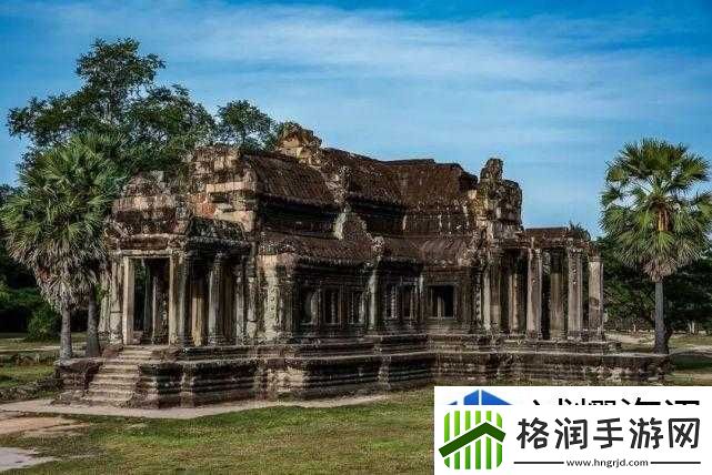 环境适应生存之道