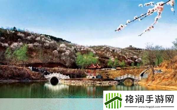 jy收集系统白清素探索白清素的神秘世界与应用潜力