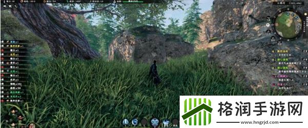 下一站江湖2云鹤疑云谜题攻略