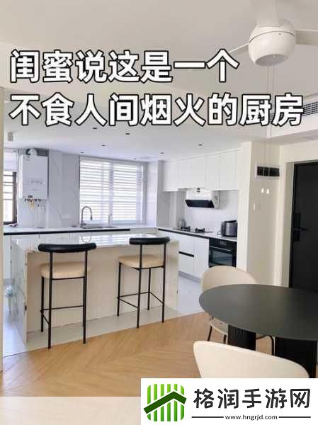 厨房里的激战2类型