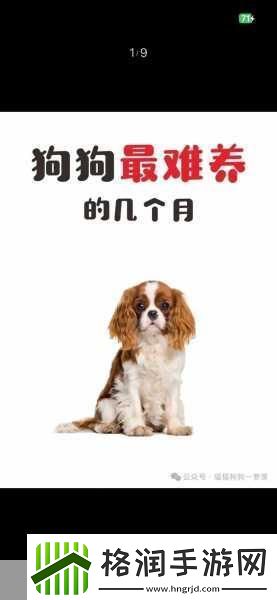 成色好的y31的影视短片