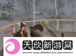 七日世界如何获取月亮猫