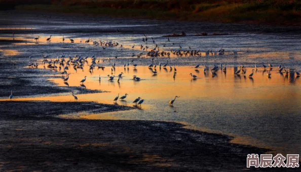 久久人人爽人人爽来到新阶段