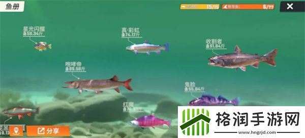 欢乐钓鱼大师鱼类有哪些