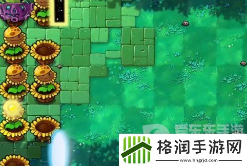 植物大战僵尸杂交版挑战模式第9关怎么过