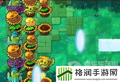 植物大战僵尸杂交版挑战模式第9关怎么过