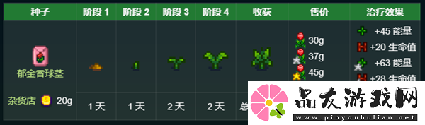 星露谷物语秘密纸条5解析