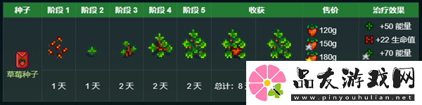 星露谷物语秘密纸条4解析