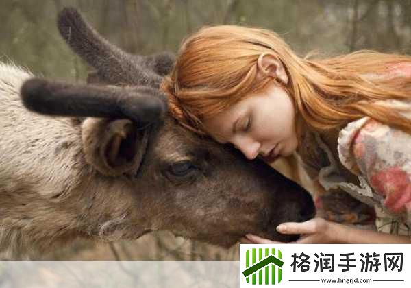 人物动物互动高清视频素材