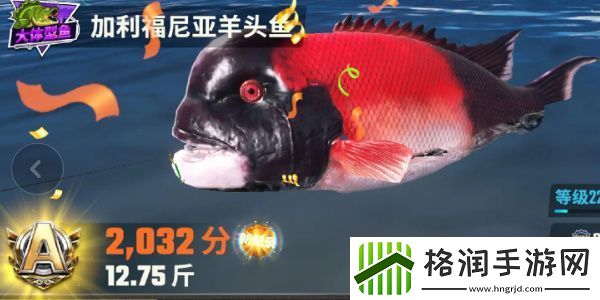 欢乐钓鱼大师鱼类有哪些