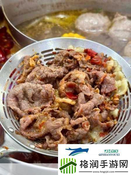 幻塔红烧肉烹饪秘籍