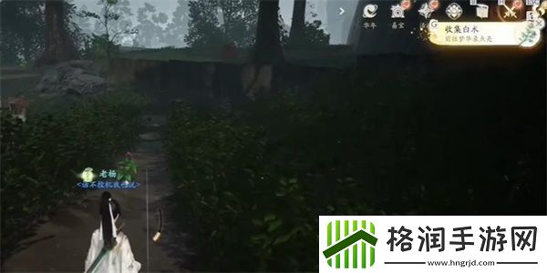 射雕手游白术收集方法