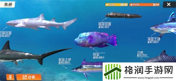 欢乐钓鱼大师鱼类有哪些