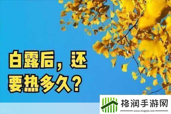 久久热在线观看