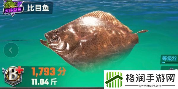 欢乐钓鱼大师鱼类有哪些