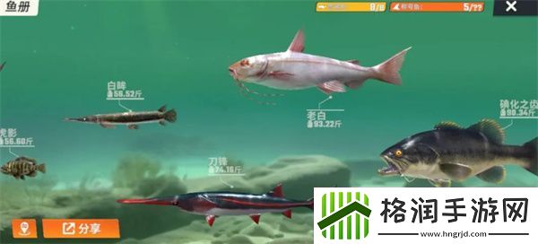 欢乐钓鱼大师鱼类有哪些